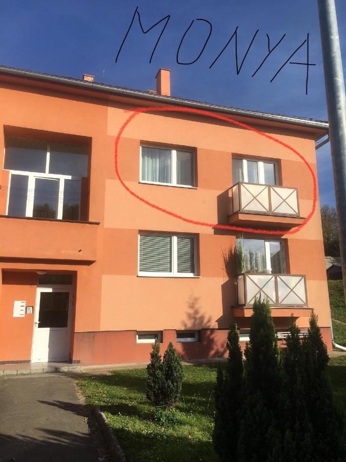 Apartman Monya Turčianske Teplice エクステリア 写真